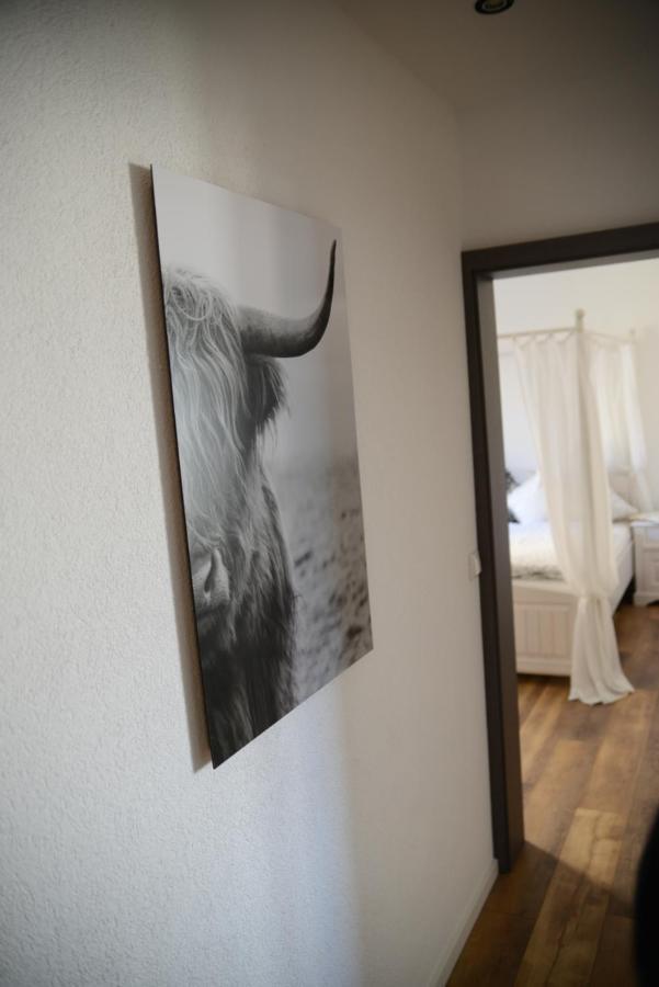 Ferienwohnung Die Alte Schule Daun Exteriér fotografie